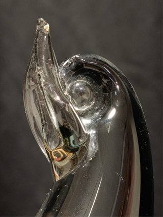 Foca in vetro di Murano