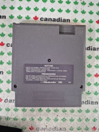 Totally RAD NES