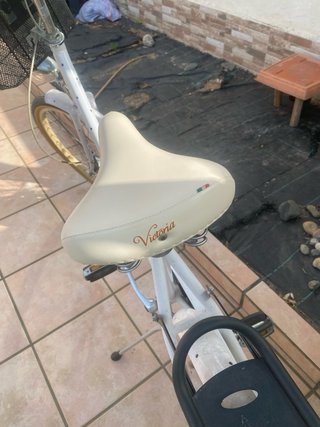 Bicicleta Holandesa Blanca