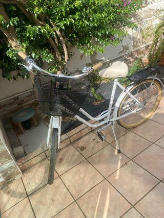 Bicicleta Holandesa Blanca