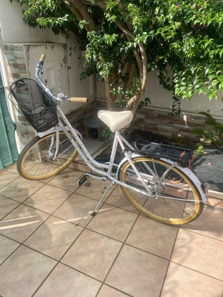 Bicicleta Holandesa Blanca