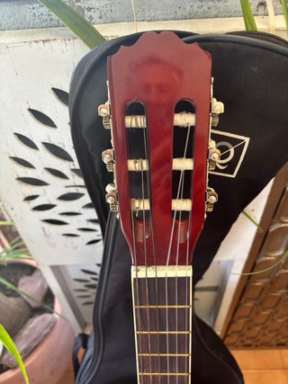 Guitarra Clasica Carmino AG605