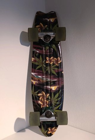 Skateboard cruiser tipo Penny Board