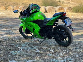 Despiece Kawasaki Ninja 250r