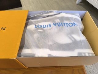 Louis Vuitton Trainer Sneakers Negras y Blancas
