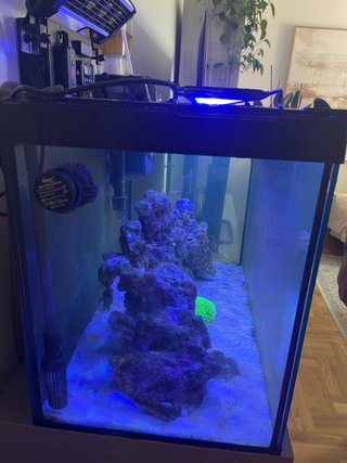 Acuario Marino Completo 110 litros con armario