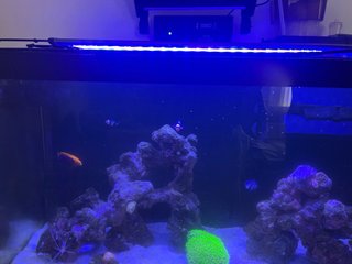 Acuario Marino Completo 110 litros con armario