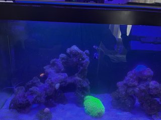 Acuario Marino Completo 110 litros con armario