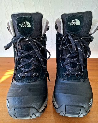 Botas The North Face Negras