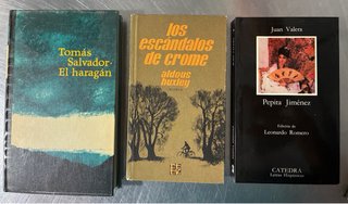 Libros en español muy buen precio (caja 17)