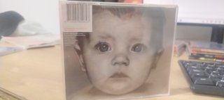 CD Bad Religion Gray Race Punk Rock