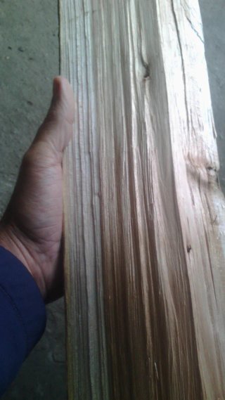 Leña verde para chimeneas