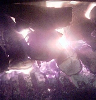 Leña verde para chimeneas