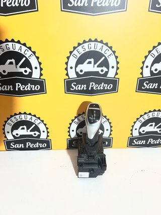 Palanca Cambio BMW 10099971-00