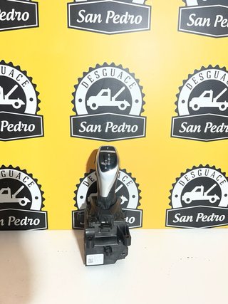 Palanca Cambio BMW 10099971-00