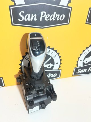 Palanca Cambio BMW 10099971-00