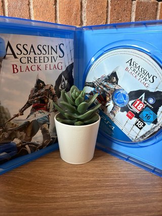 Assassin's Creed IV Black Flag PS4