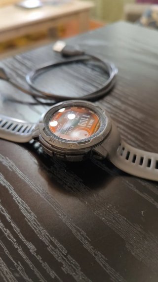 Garmin Instinct 2 Solar Gris