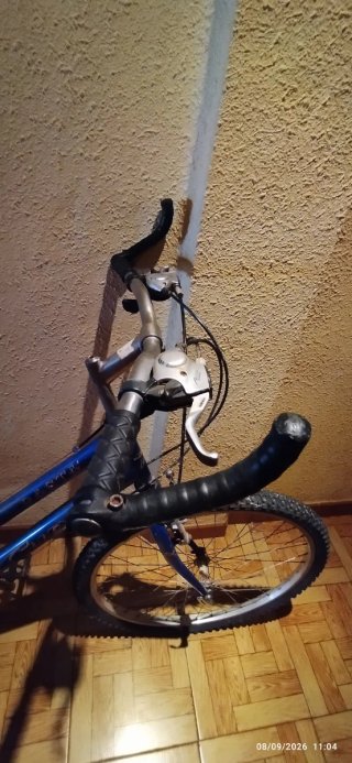Bicicleta Morada CUP'S