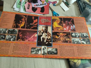 Vinilo The Allman Brothers Band - Live Collection