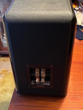 Pareja Altavoces Sonus Faber Diseño Italiano