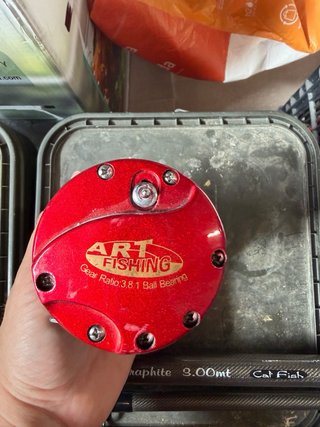 Caña y carrete para siluro