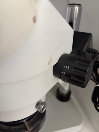 Microscopio binocular para placas de móviles