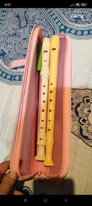 Lote 2 flautas dulces con estuche