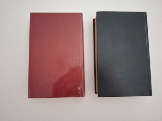 Lote 2 libros novela policiaca Simenon y Van Dine