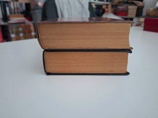 Lote 2 libros novela policiaca Simenon y Van Dine