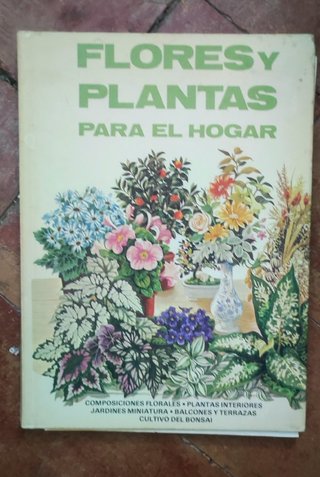 Flores y Plantas para el Hogar