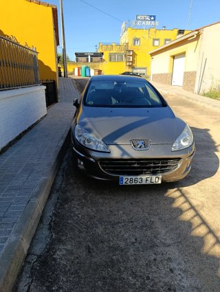 Peugeot 407 2007