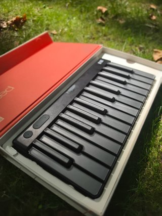 2 Roli Seaboard Piano M