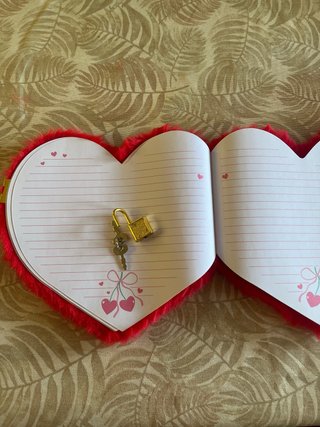 Diario secreto de corazón de peluche y cartón