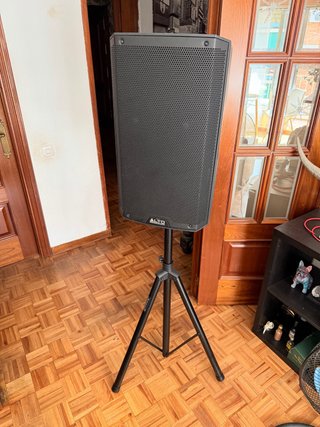 Altavoz Alto professional modelo TS 312 o cambio