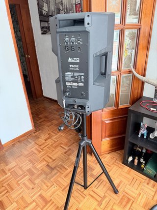 Altavoz Alto professional modelo TS 312 o cambio