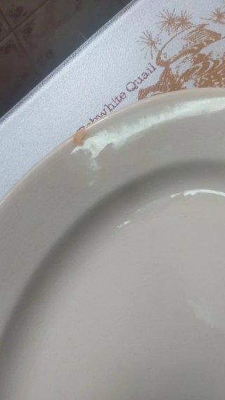 Bandeja ovalada Pickman porcelana