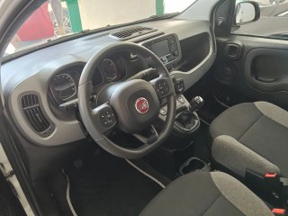 FIAT Panda 2023