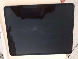 iPad Pro 12.9 3ª Gen Plata