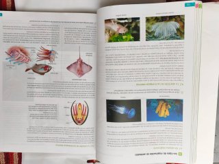 Lote 7 Libros Primero de Bachillerato SM como nuev
