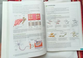 Lote 7 Libros Primero de Bachillerato SM como nuev