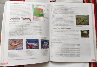 Lote 7 Libros Primero de Bachillerato SM como nuev