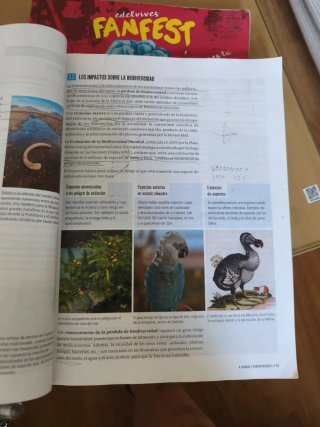 Proyecto: FanFest - Geografía e Historia 1 ESO