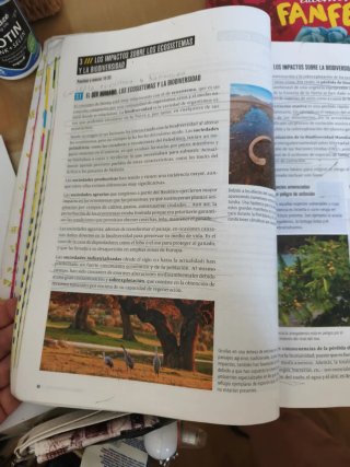 Proyecto: FanFest - Geografía e Historia 1 ESO