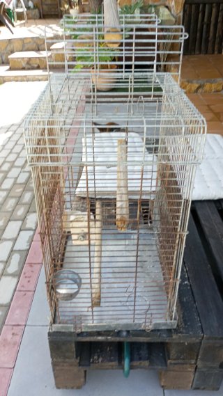 Jaula Loro/Periquitos Barrotes Reforzados