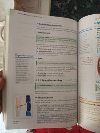 Itinerario personal para la empleabilidad I, 360°