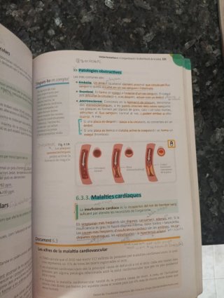 Itinerario personal para la empleabilidad I, 360°