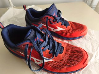 Zapatillas Mizuno Wave Ibuki Hombre Talla 45