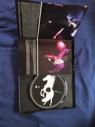 Madonna The Confessions Tour DVD