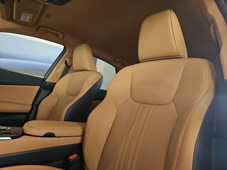 Lexus NX 350h Executive 2WD